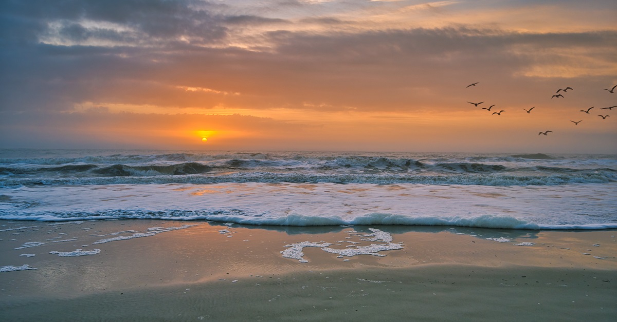 Top Must-Visit Beaches on Hilton Head This Summer