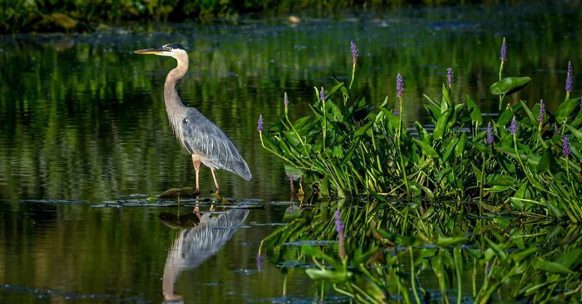 Capture the Moment: Best Photography Spots on Hilton Head Island