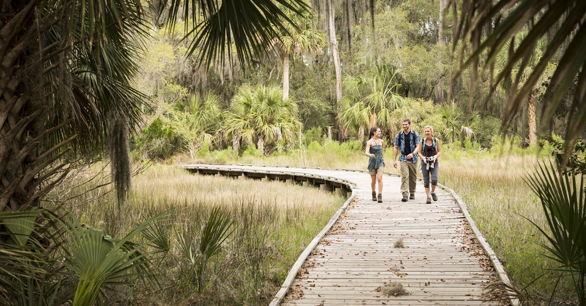 Discover the Allure of Hilton Head Island